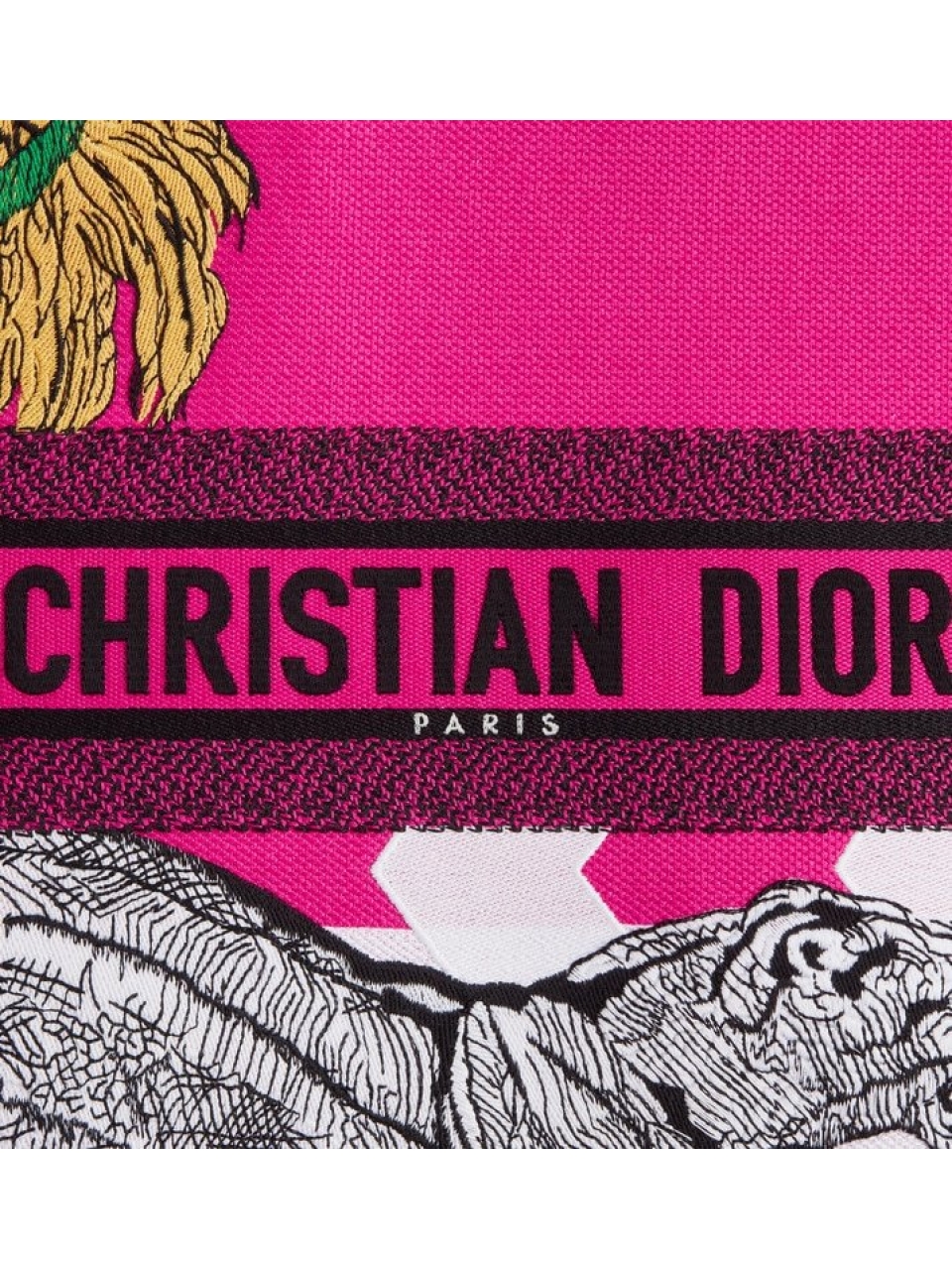 Сумка Christian Dior